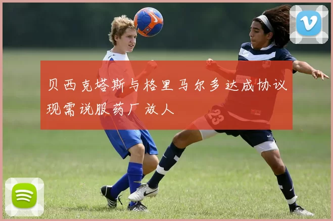 贝西克塔斯与格里马尔多达成协议现需说服药厂放人